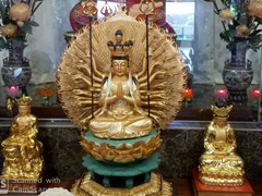 WhatsApp Image 2020-01-03 at 18.08.54