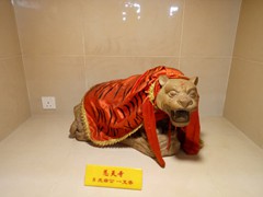 WhatsApp Image 2020-01-03 at 18.09.55